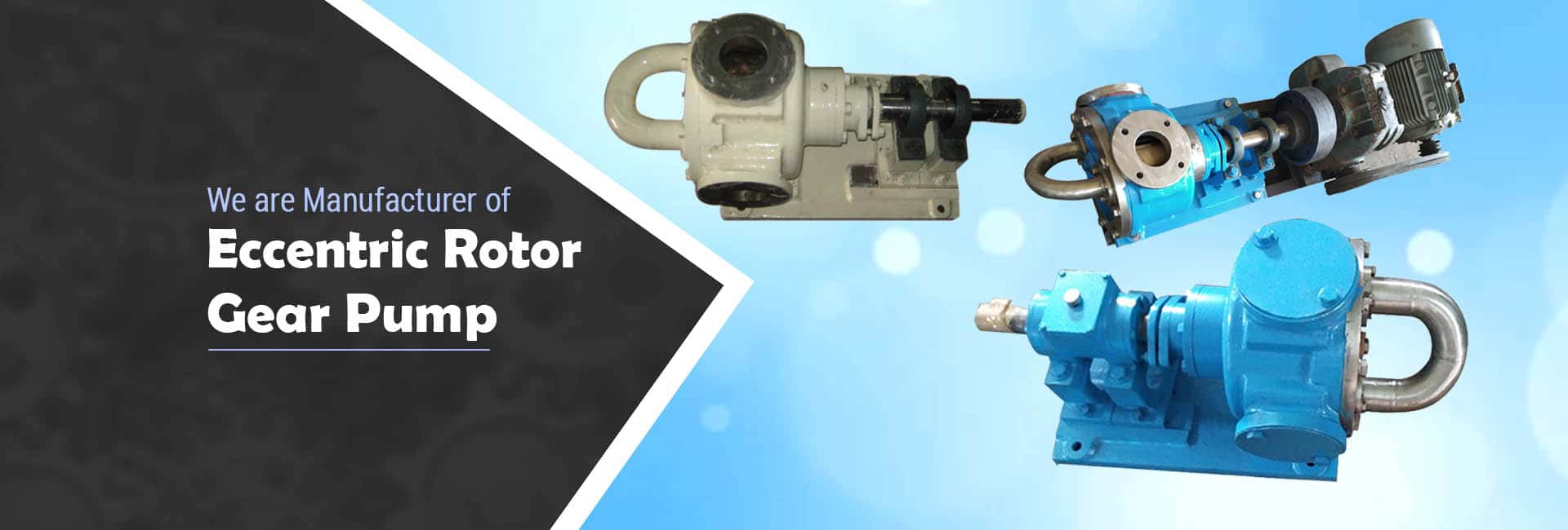 eccentric rotor gear pump exporter in gujarat