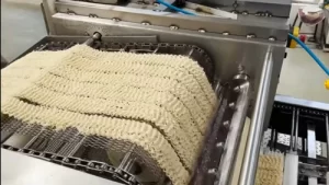 Noodle-plant-conveyor-belt